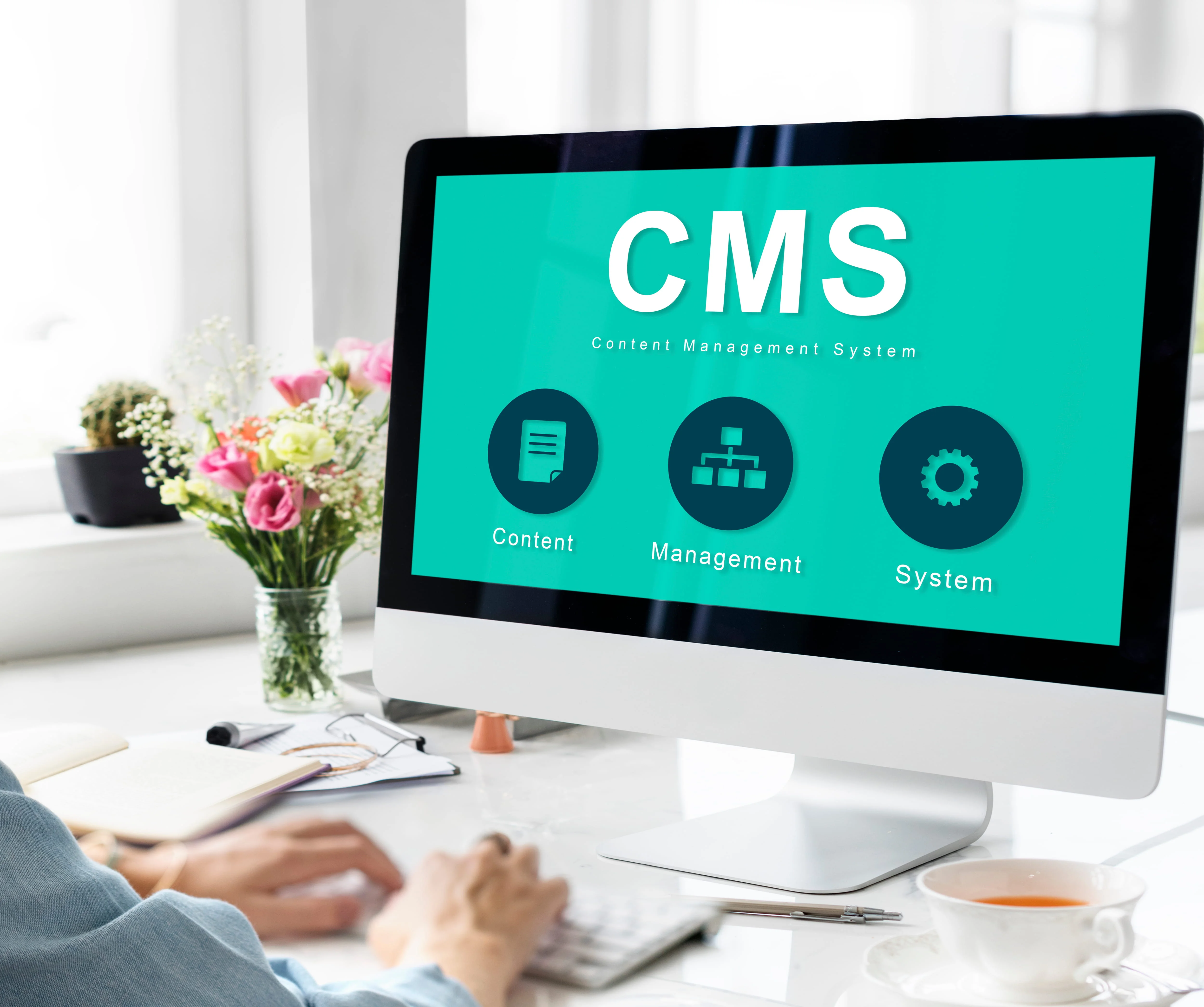 CMS Development Service