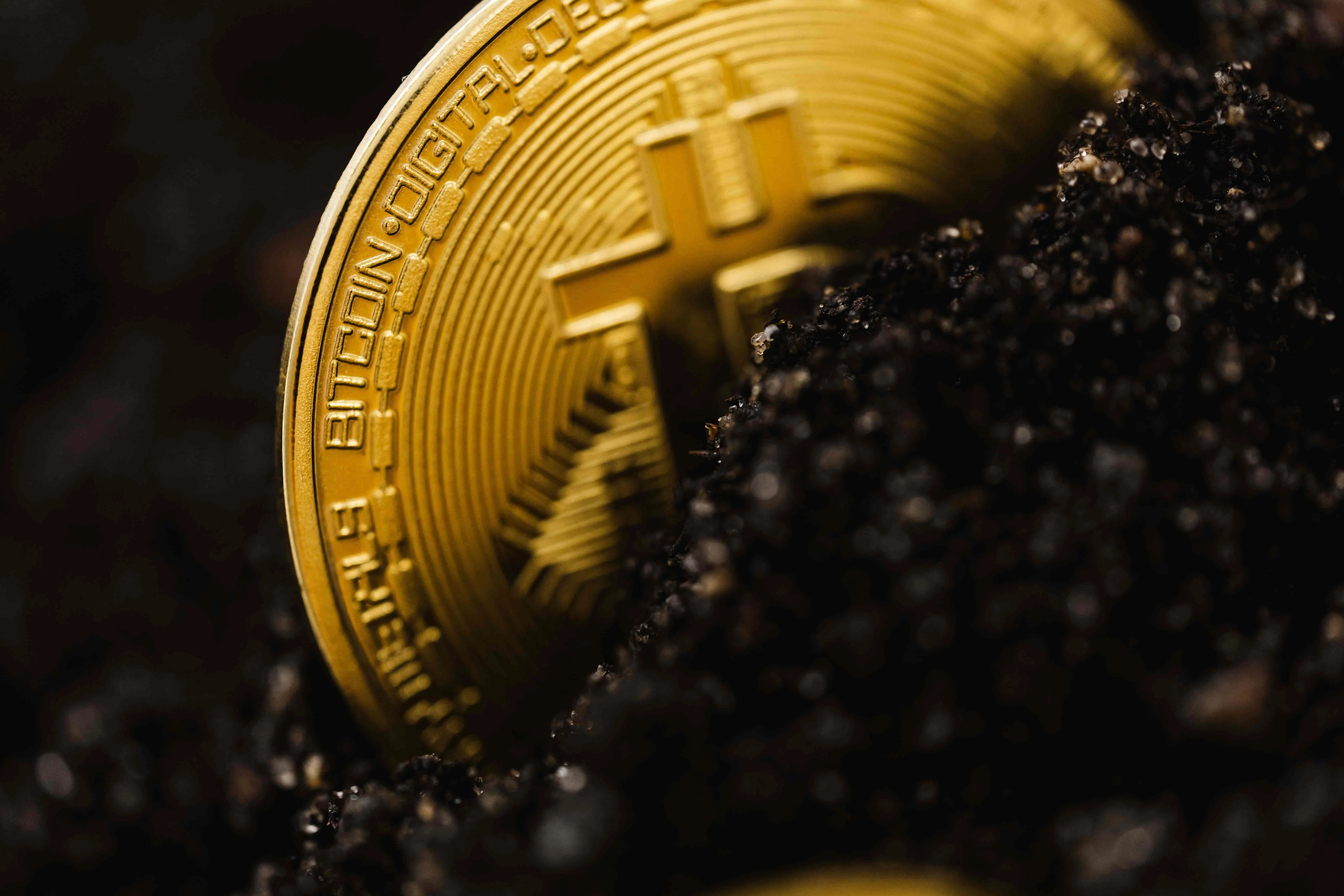 Crypto Wallet Development Service