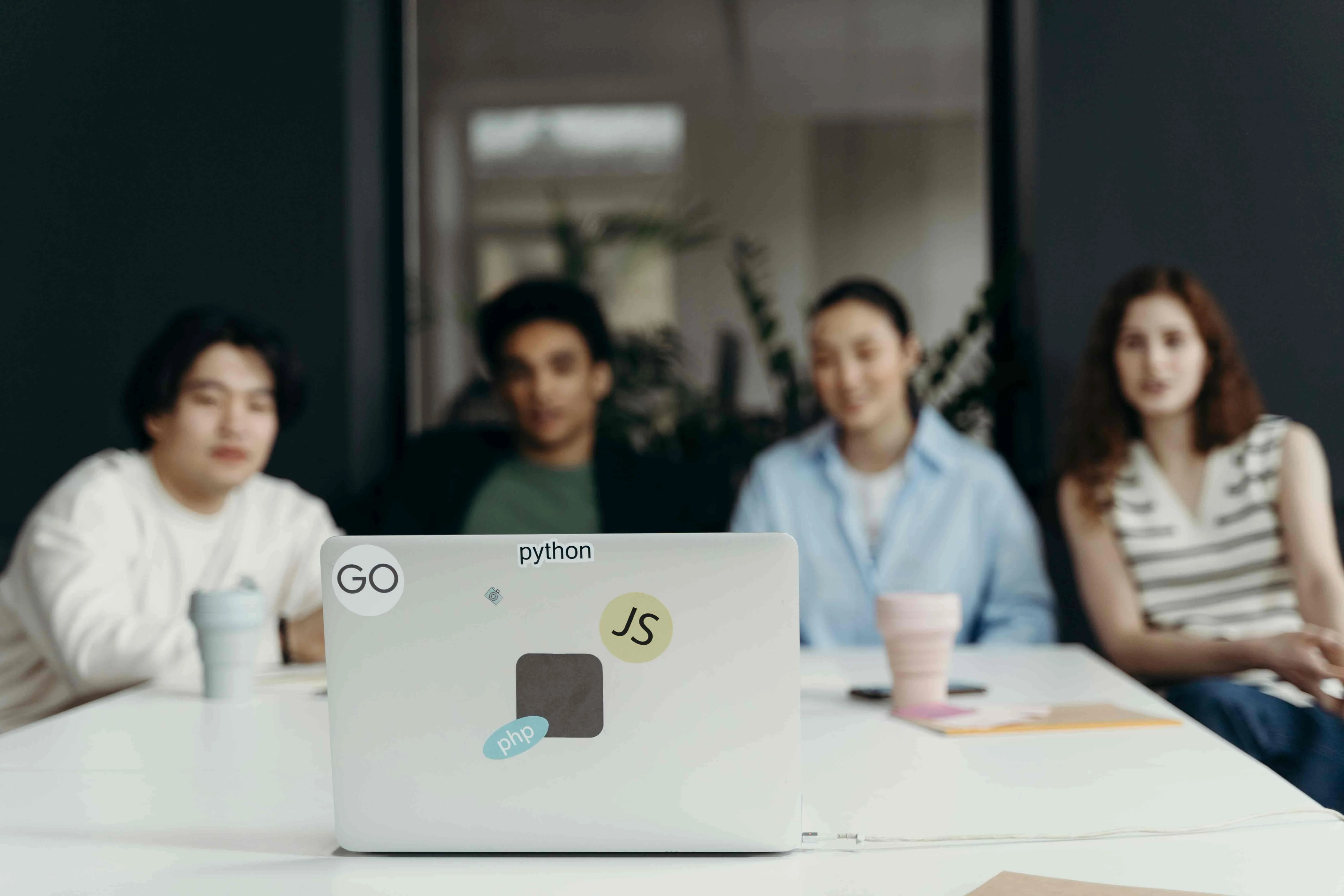 Our Software Consulting Services