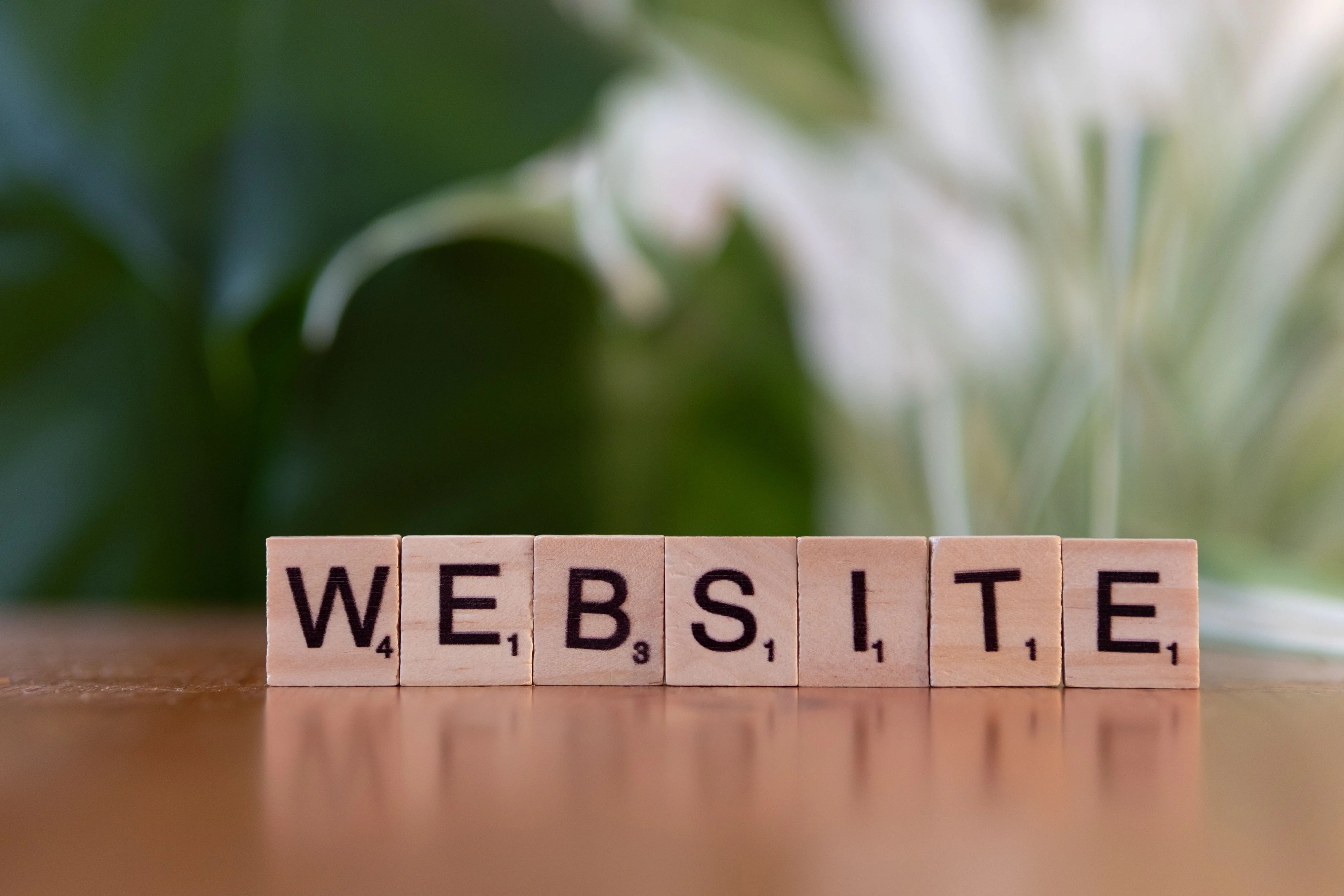 Web Development Service