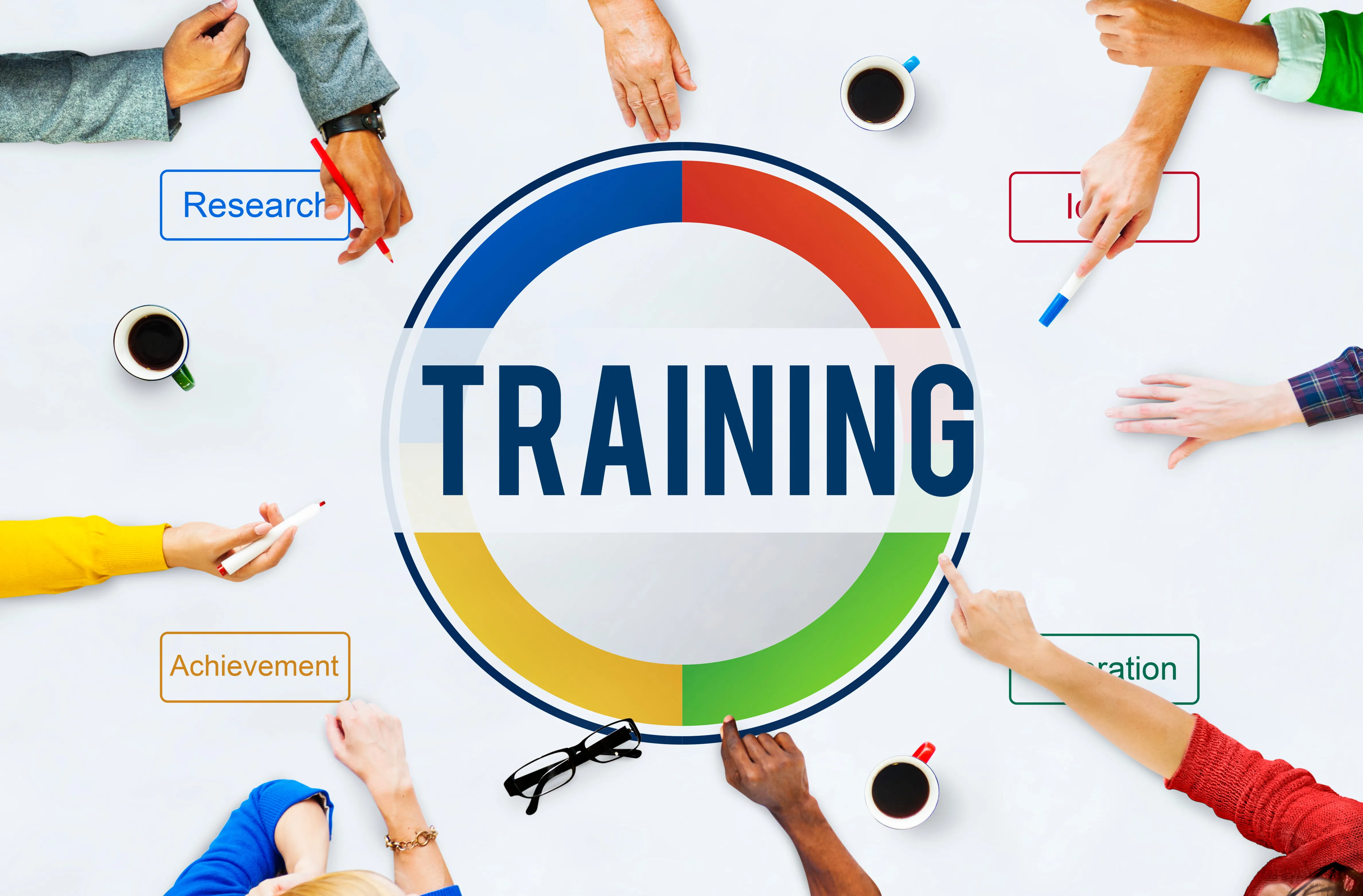 Development and Training of the Model